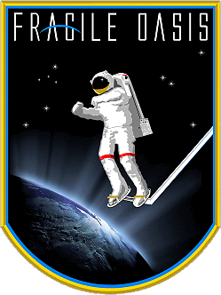 Patch Ronald Garan