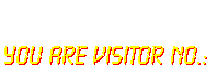 YOU ARE VISITOR NO.: