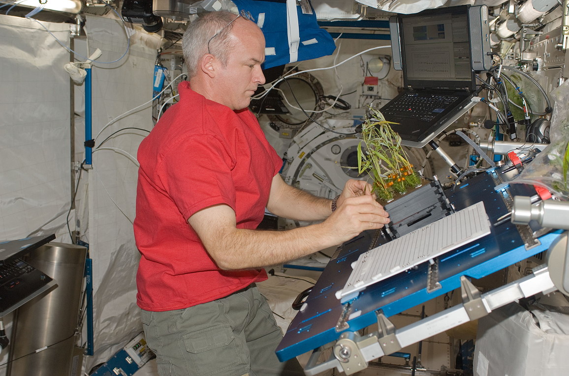 Leben an Bord der ISS