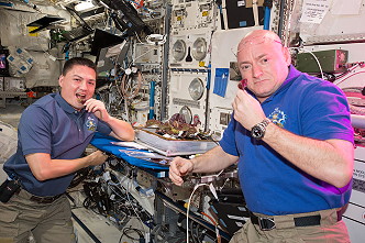 Veggie day on ISS