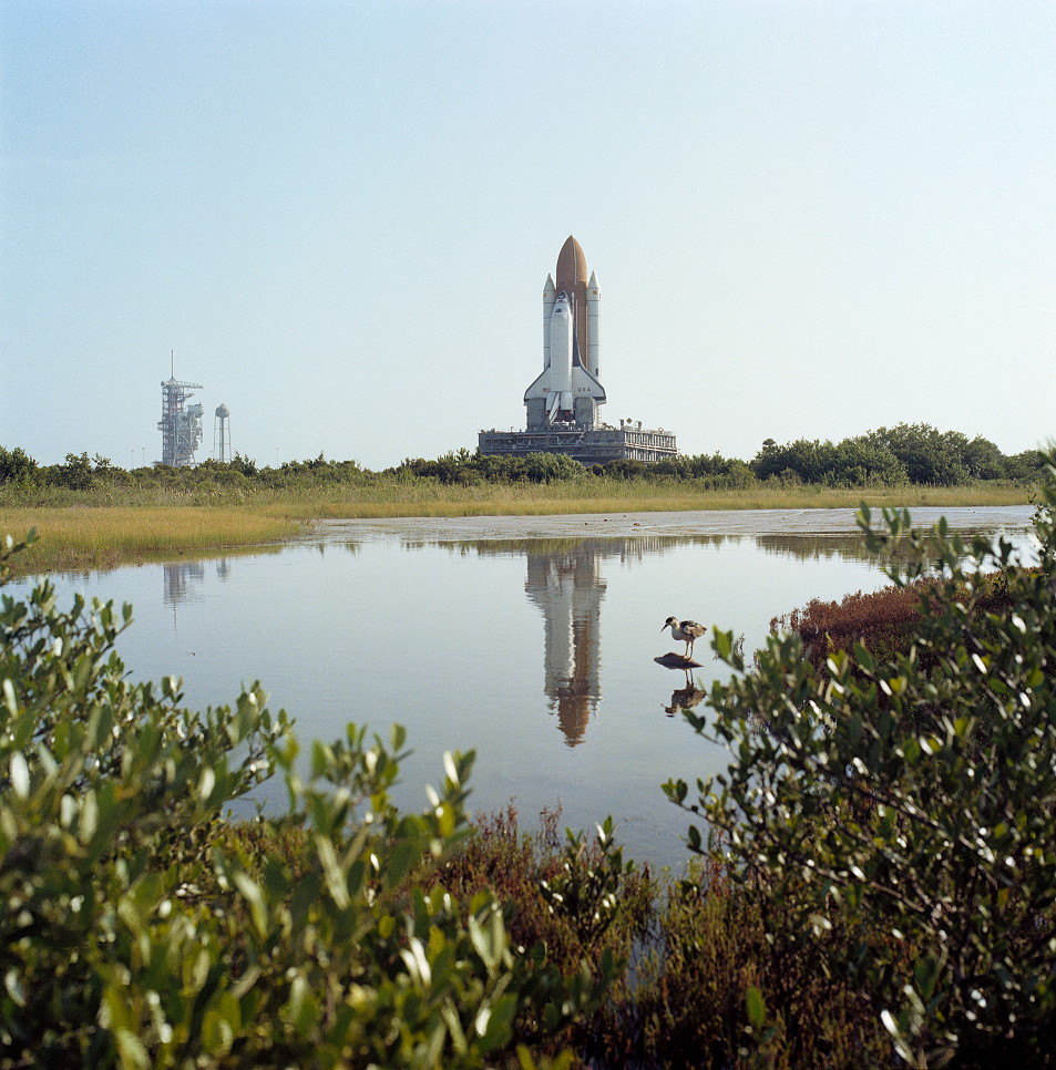 STS-5 auf dem Weg zur Startrampe