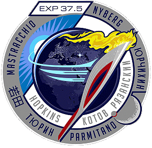 inoffizielles Patch: ISS Expedition 37