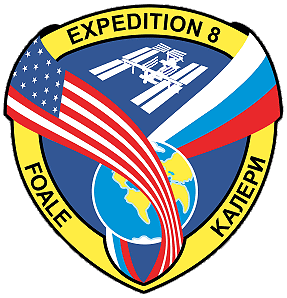 Patch ISS Expedition 8