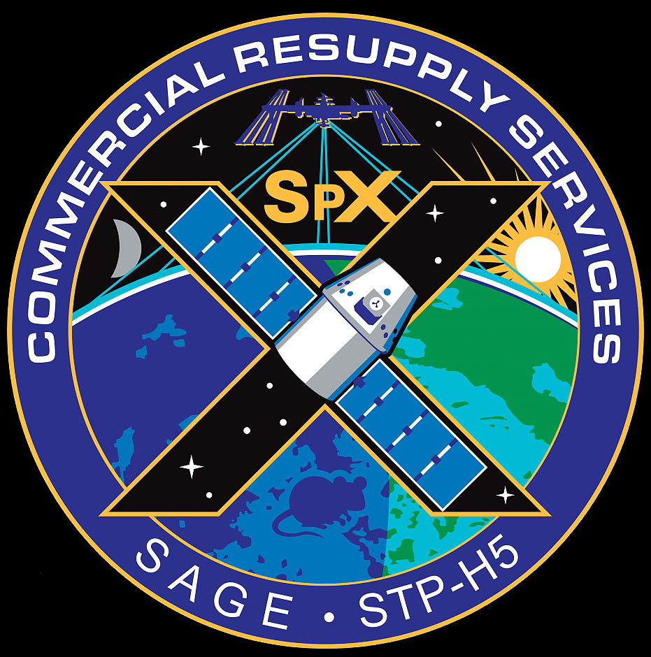 Patch Dragon SpX-10 (NASA)