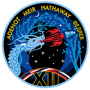 Patch SpaceX Crew-12