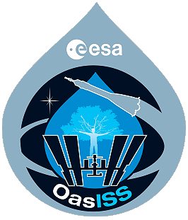 OasISS Patch