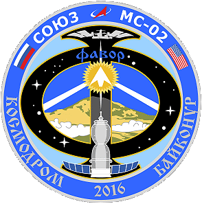 Patch Soyuz MS-02 backup crew