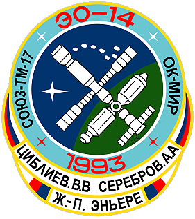 Patch Soyuz TM-17