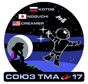 Soyuz TMA-17 patch