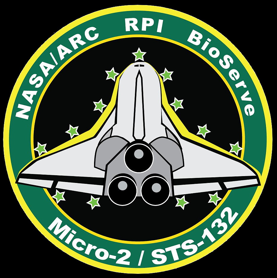 Micro-2 patch