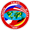 Patch MIR-22