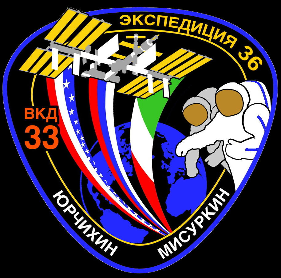 Pavel Vinogradov EVA patch
