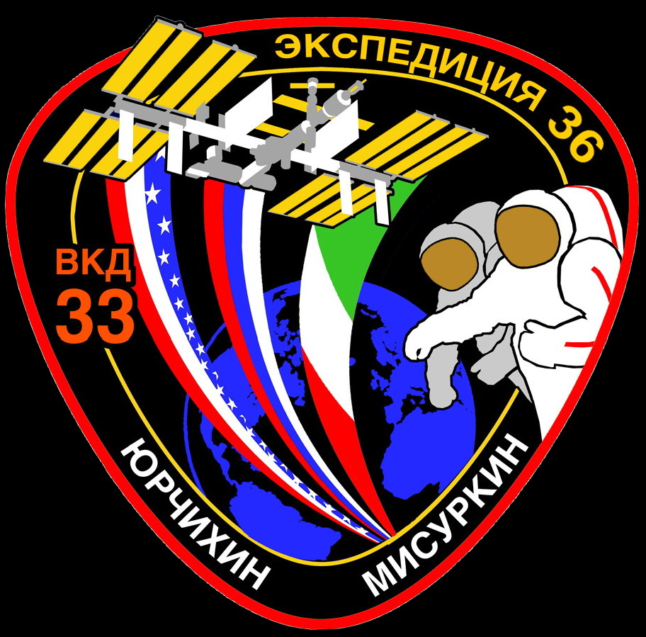 Pavel Vinogradov EVA patch