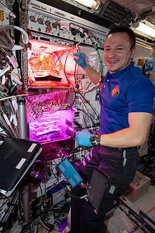 life onboard ISS