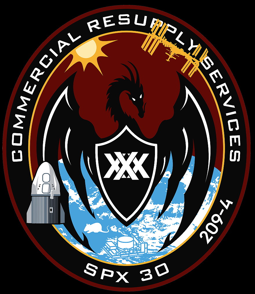 Patch Dragon SpX-30 (NASA)