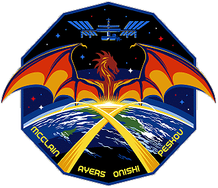 Patch SpaceX Crew-10 Patch SpaceX Crew-10