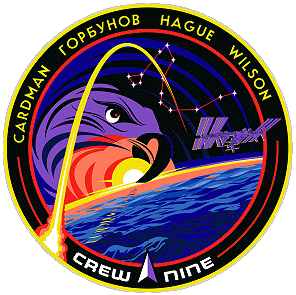 Patch SpaceX Crew-9 (Original) Patch SpaceX Crew-9 (Original)