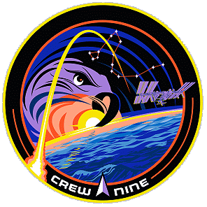 Patch SpaceX Crew-9 Patch SpaceX Crew-9
