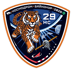 Patch Soyuz MS-29 backup