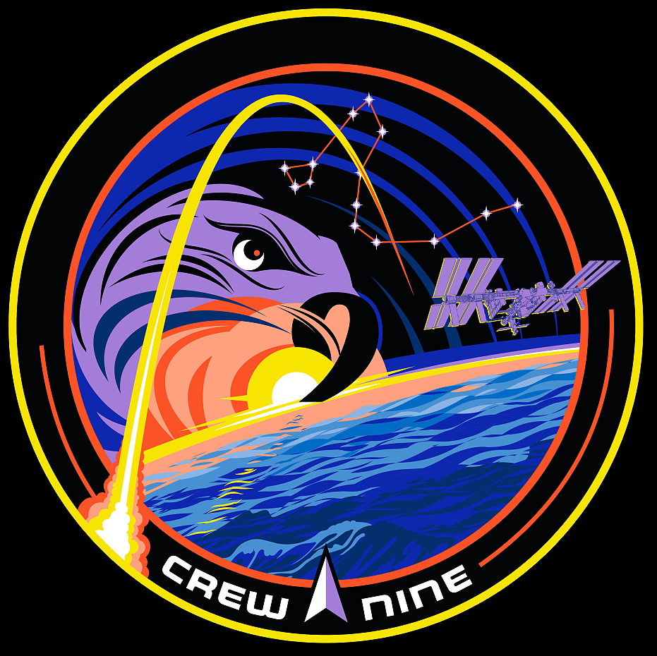 Patch SpaceX Crew-9