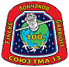 Patch Soyuz TMA-13