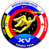 Patch Soyuz TMA-15
